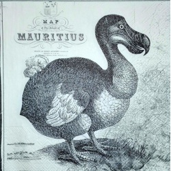 Servítka - Maurítius