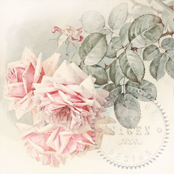 Servítka - Sagen - Vintage letné ruže