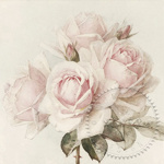 Servítka - Sagen - Vintage ruže